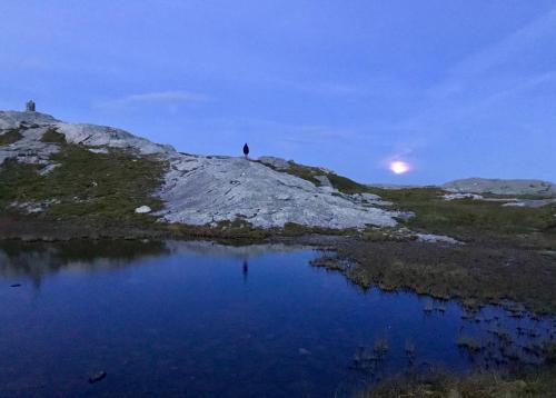 Fevassnuten. Foto: B Kjos-Wenjum