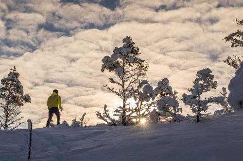 Vinter i Imsland. Foto: Jan Nordtveit